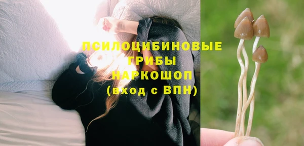 мдпв Верея
