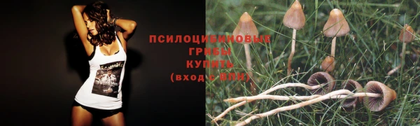 спиды Володарск