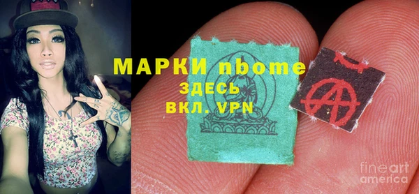 индика Бородино