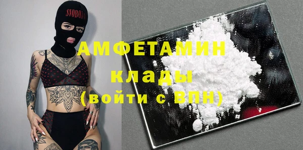мдпв Верея