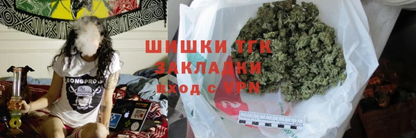стаф Волосово