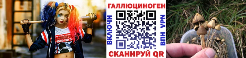 Псилоцибиновые грибы MAGIC MUSHROOMS  Изобильный 